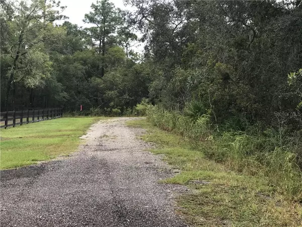 WINCHESTER WOODS RD, De Leon Springs, FL 32130