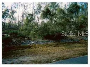 NO NAME 05163004830110, De Leon Springs, FL 32130