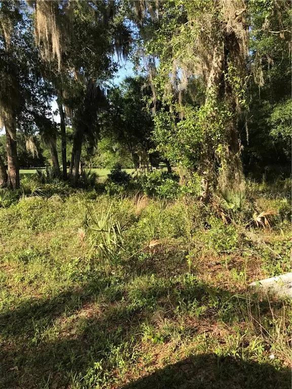 271 DICKSON AVE, Osteen, FL 32764
