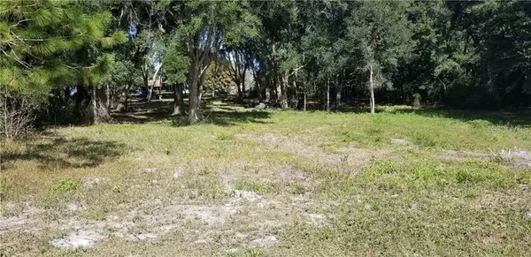 Umatilla, FL 32784,SE 175TH PL