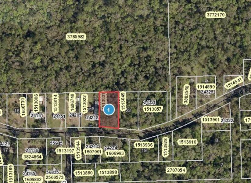 RIVER RD, Astor, FL 32102