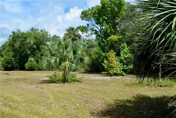 Pierson, FL 32180,545 VANNOTE RD