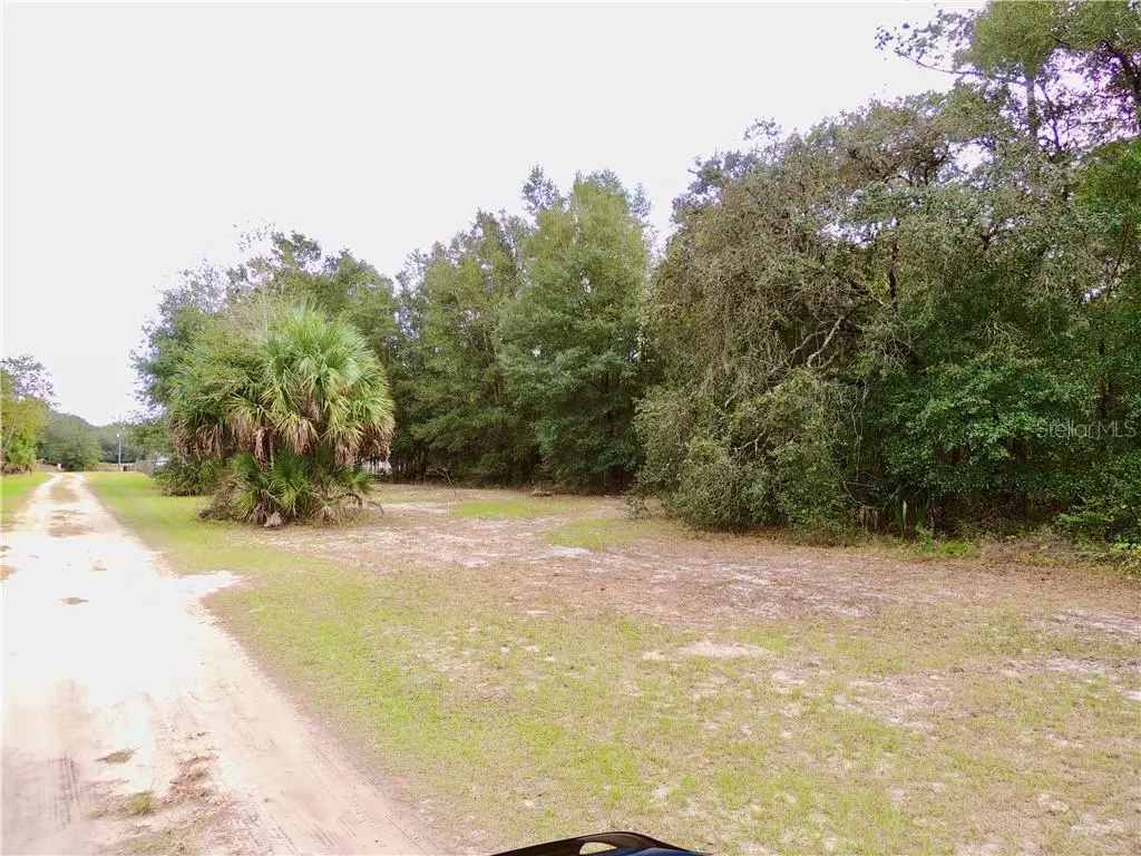 Paisley, FL 32767,COUNTY ROAD 42