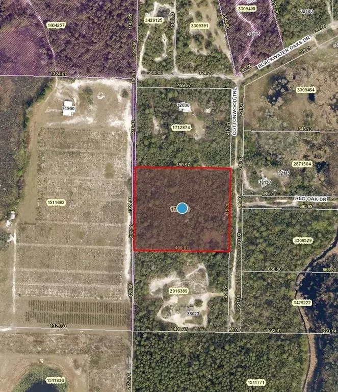 Eustis, FL 32736,COTTONWOOD TRL