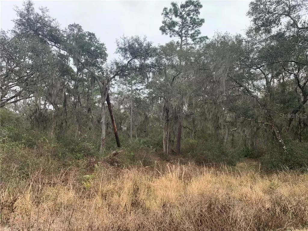 De Leon Springs, FL 32130,0 LAKE WINONA RD