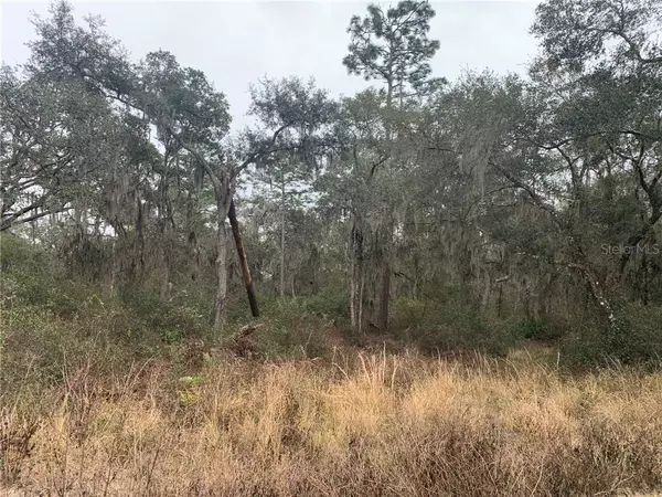 0 LAKE WINONA RD, De Leon Springs, FL 32130