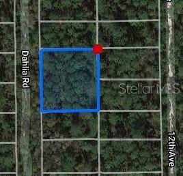 DAHLIA, Deland, FL 32724