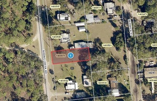 SPRING CREEK RD, Paisley, FL 32767