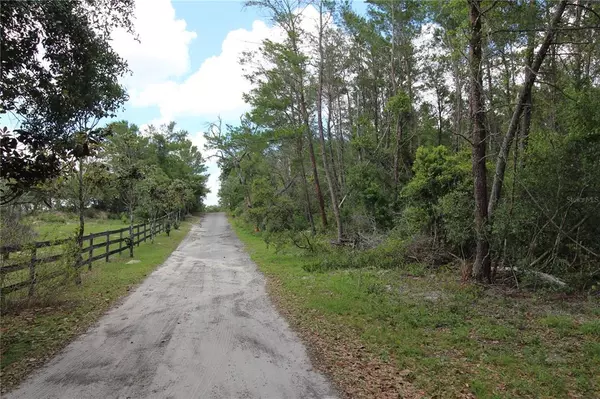 De Leon Springs, FL 32130,5135 BLUEBERRY ACRES