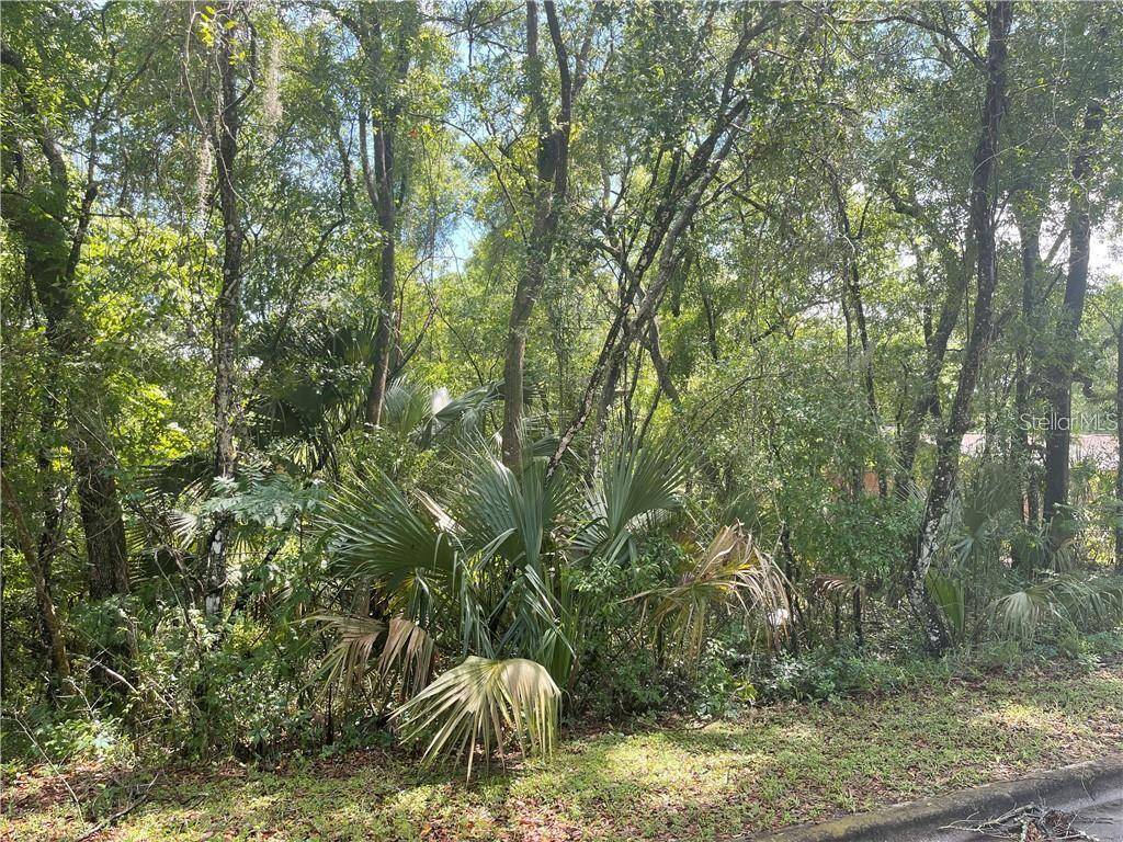 E EUCLID AVE, Deland, FL 32724