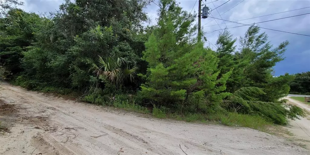 Deland, FL 32720,S 7TH ST