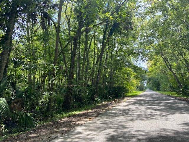 POSSUM RD, Astor, FL 32102