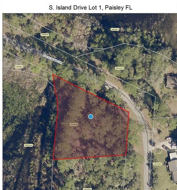 S ISLAND DR, Paisley, FL 32767