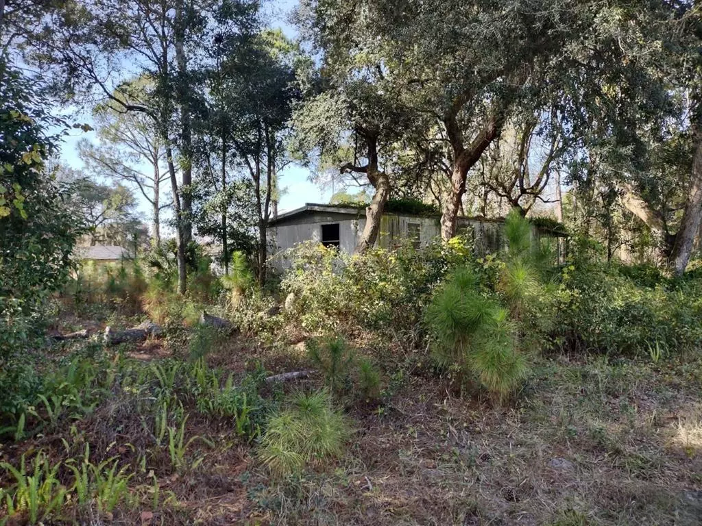 Paisley, FL 32767,47019 CENTRAL AVE