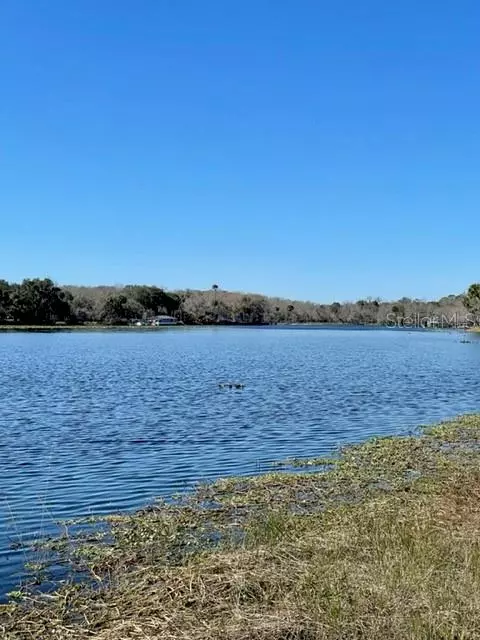 Osteen, FL 32764,1289 TALL PINES DR