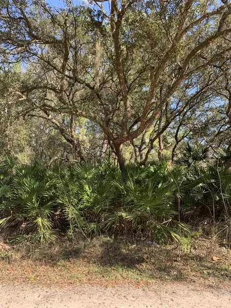 CAROLINA ST, Paisley, FL 32767