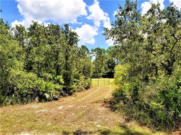 ROYAL TRAILS RD, Eustis, FL 32736