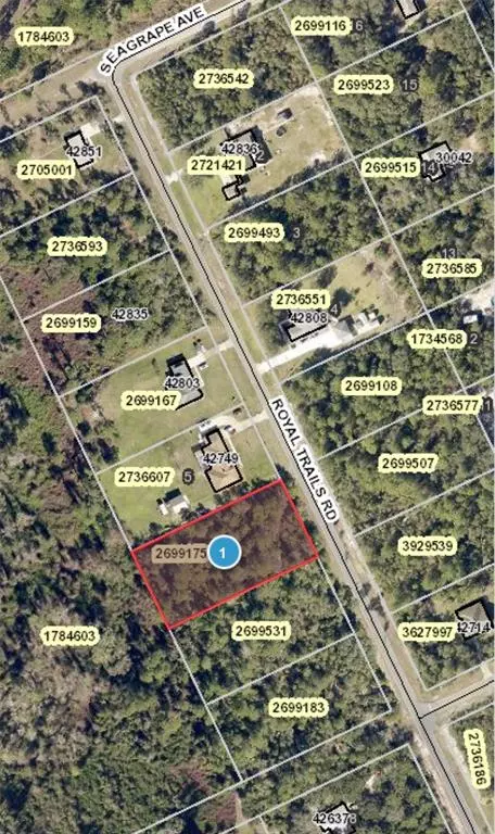 ROYAL TRAIL RD, Eustis, FL 32736