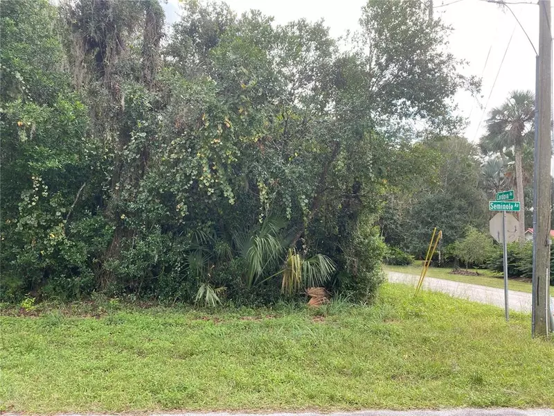 Lot 1 of 5 CORDOVA AVE, De Leon Springs, FL 32130