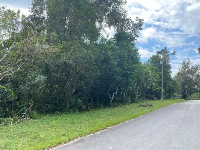 Lot 2 of 5 CORDOVA AVE, De Leon Springs, FL 32130