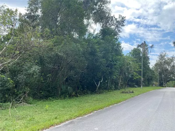 Lot 2 of 5 CORDOVA AVE, De Leon Springs, FL 32130