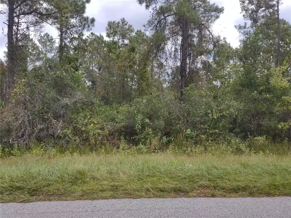 Astor, FL 32102,ALCO RD