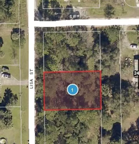 Astor, FL 32102,LISA ST