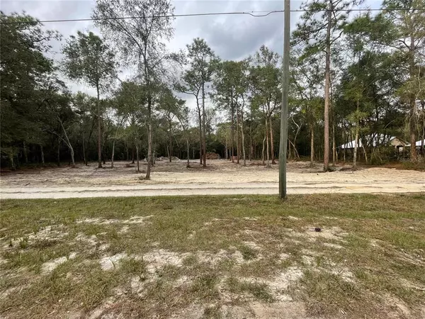 Lake Helen, FL 32744,950 SEVILLA AVE