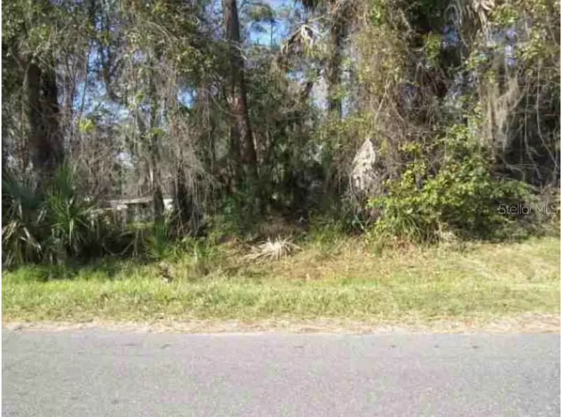 FOX RD, Astor, FL 32102