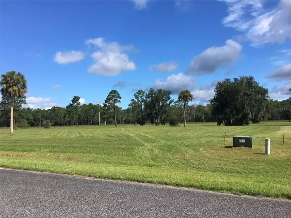 Crescent City, FL 32112,0 PALEO PL #Lot 98 Mt Royal Airpark