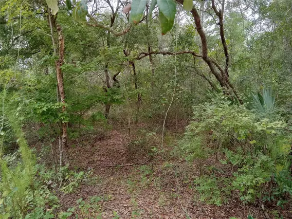 LAKE MARGARET BLVD, Pomona Park, FL 32181