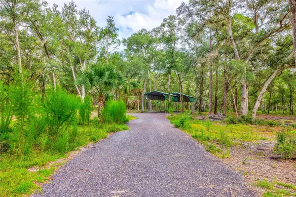 Paisley, FL 32767,0000 (MISTY ISLE) WILD ACRES TRL