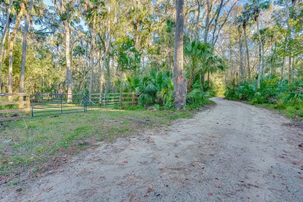 725 TROPHY HUNTER TRL, New Smyrna Beach, FL 32168