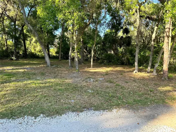 Osteen, FL 32764,1ST ST