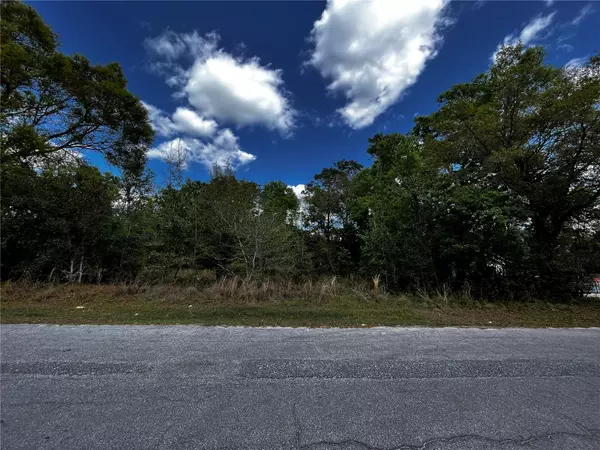 Lot 27&28 TIMUQUANA DR, Mount Plymouth, FL 32776