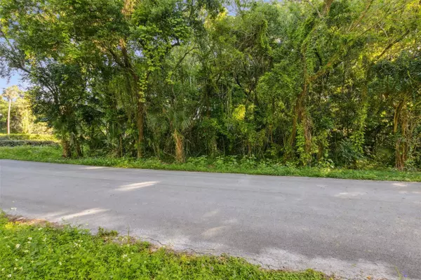 Lot C (address TBD) QUEBEC AVENUE, De Leon Springs, FL 32130