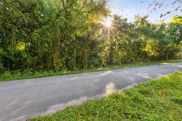 Lot D (address TBD) QUEBEC AVENUE, De Leon Springs, FL 32130