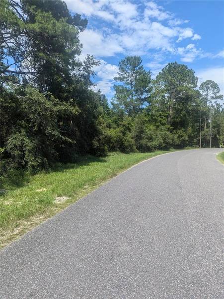 FOREST DR, Eustis, FL 32736