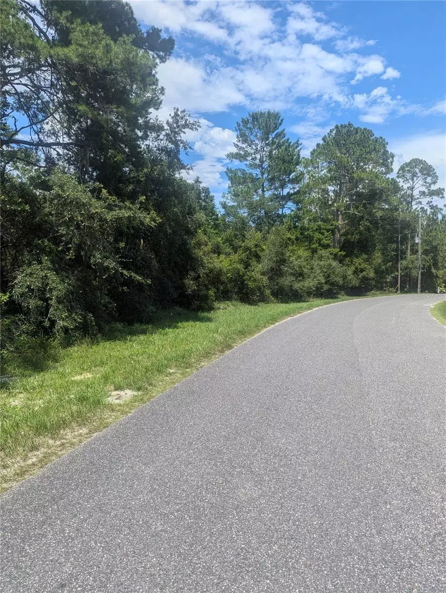 Eustis, FL 32736,FOREST DR