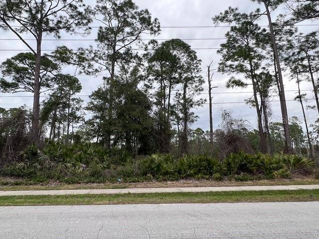 ANDERSON DR, Deltona, FL 32725