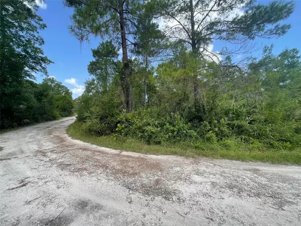 HILDA AVE, Paisley, FL 32767