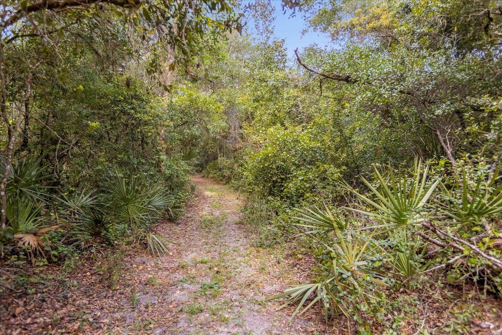 Deland, FL 32720,3660 GRAND AVE