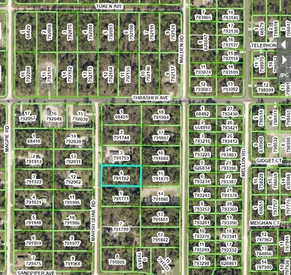 Weeki Wachee, FL 34614,16182 MARSH QUAIL RD