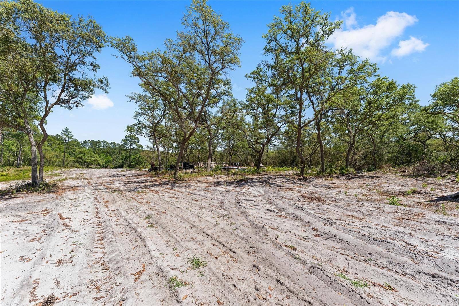 Fort Mc Coy, FL 32134,000 NE 150TH AVE RD