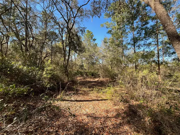 Satsuma, FL 32189,100 SHARON DR