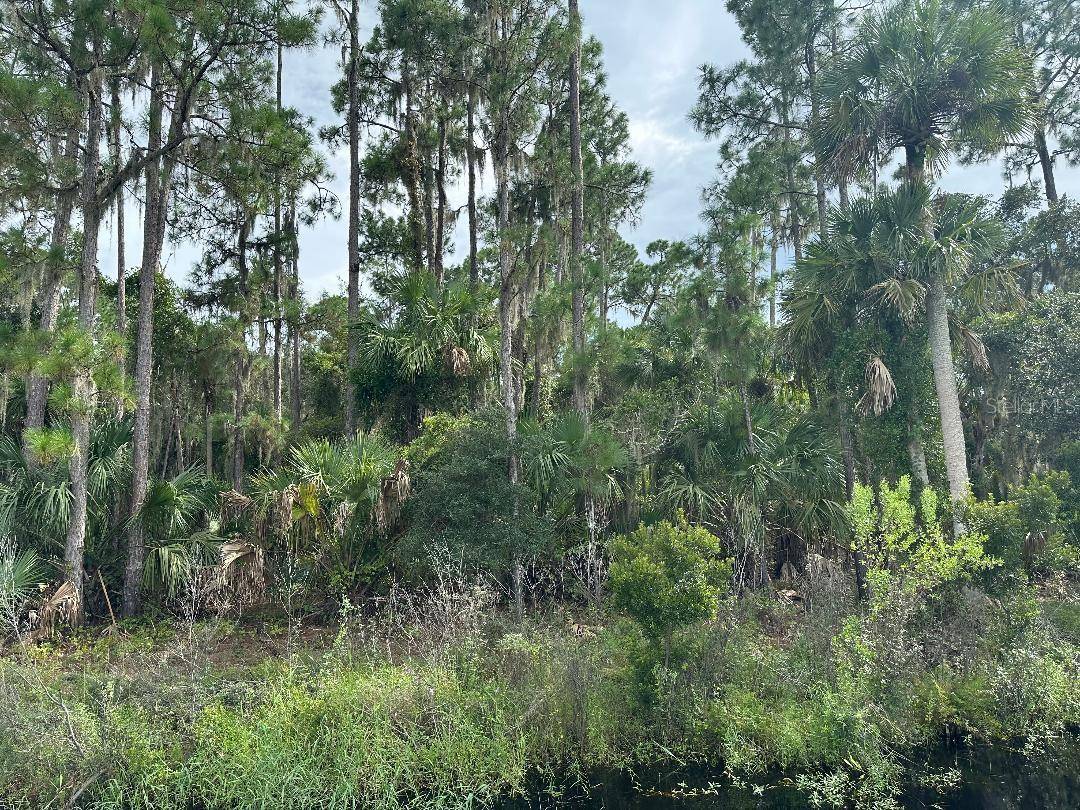 LAKE HARNEY CIR, Geneva, FL 32732