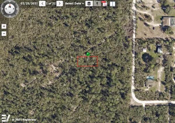 Lake Helen, FL 32744,TBD HON AVE