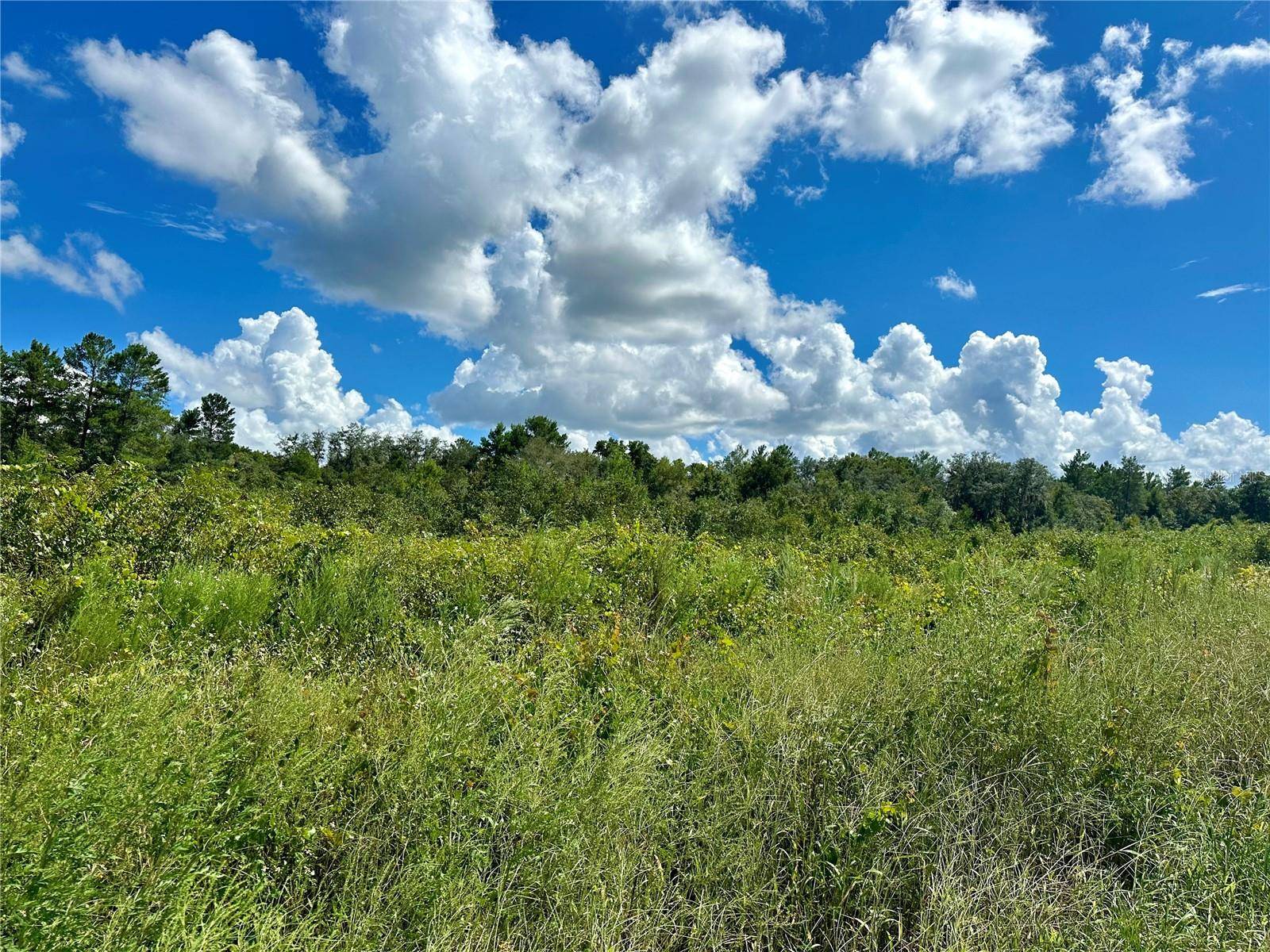 Deland, FL 32720,NO STREET