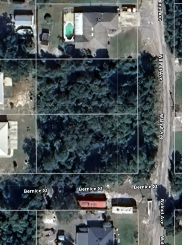 WALNUT AVE, Orange City, FL 32763