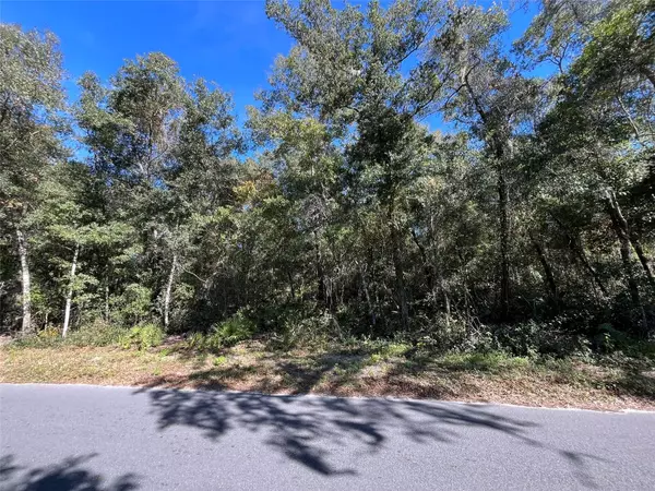 De Leon Springs, FL 32130,SPRING ST E